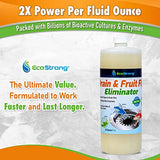 Fruit Fly Drain Treatment | Drain Fly Eliminator | All-Natural, Eliminates Gnats, Sewer Flies and More -  Works in All Drains - 32 Fl Oz