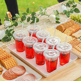 VITEVER [100 Sets - 16oz] Plastic Cups with Lids and Straws, Disposable Cups for Iced Coffee, Smoothie, Milkshake, Cold Drinks - Clear