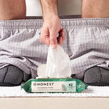 The Honest Company Plant-Based Flushable Wipes | 99% Water, Hypoallergenic, EWG Verified, Safe to Flush | Fragrance Free, 336 Count