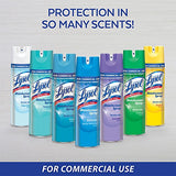 Lysol Professional Disinfectant Spray, Spring Waterfall, 19 Ounce (Pack of 12)